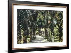 Tampa, Florida - View of Palmetto Walk-Lantern Press-Framed Art Print