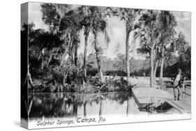 Tampa, Florida - View of Sulphur Springs-Lantern Press-Stretched Canvas