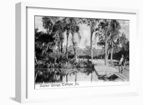 Tampa, Florida - View of Sulphur Springs-Lantern Press-Framed Art Print