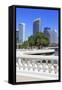 Tampa Skyline and Linear Park, Tampa, Florida, United States of America, North America-Richard Cummins-Framed Stretched Canvas