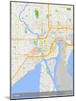 Tampa, United States of America Map-null-Mounted Poster