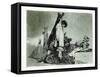 Tampoco (Nor Thi), Plate 36 from the Disasters of War (Los Desastros De La Guerr), 1810-1820-Francisco de Goya-Framed Stretched Canvas