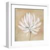 Tan and White-Sarah Parker-Framed Art Print