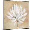 Tan and White-Sarah Parker-Mounted Art Print