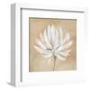 Tan and White-Sarah Parker-Framed Art Print