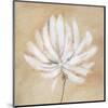 Tan and White-Sarah Parker-Mounted Art Print