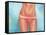 Tan Lines-Alexander Grahovsky-Framed Stretched Canvas