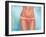 Tan Lines-Alexander Grahovsky-Framed Art Print