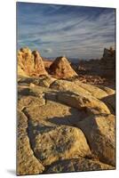 Tan Sandstone at First Light, Coyote Buttes Wilderness, Vermilion Cliffs National Monument-James Hager-Mounted Photographic Print