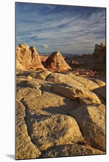 Tan Sandstone at First Light, Coyote Buttes Wilderness, Vermilion Cliffs National Monument-James Hager-Mounted Photographic Print