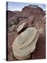 Tan Sandstone Boulder Among Red Rocks, Carson National Forest, New Mexico-James Hager-Stretched Canvas
