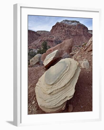 Tan Sandstone Boulder Among Red Rocks, Carson National Forest, New Mexico-James Hager-Framed Photographic Print