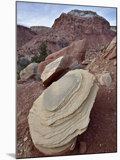 Tan Sandstone Boulder Among Red Rocks, Carson National Forest, New Mexico-James Hager-Mounted Photographic Print