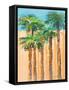 Tan Shadow Palms II-Jane Slivka-Framed Stretched Canvas
