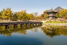 Pond Pagoda-tanaonte-Photographic Print