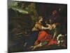 Tancred and Erminia, C.1640-45-Pietro da Cortona-Mounted Giclee Print