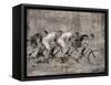 Tandem-Alexys Henry-Framed Stretched Canvas