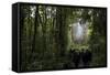 Tane Mahuta, Giant Kauri Tree in Waipoua Rainforest, North Island, New Zealand-David Noyes-Framed Stretched Canvas