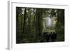 Tane Mahuta, Giant Kauri Tree in Waipoua Rainforest, North Island, New Zealand-David Noyes-Framed Photographic Print