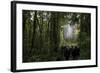 Tane Mahuta, Giant Kauri Tree in Waipoua Rainforest, North Island, New Zealand-David Noyes-Framed Photographic Print