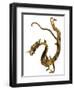 Tang Dynasty Gilt Bronze Dragon-null-Framed Photographic Print