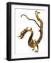 Tang Dynasty Gilt Bronze Dragon-null-Framed Photographic Print