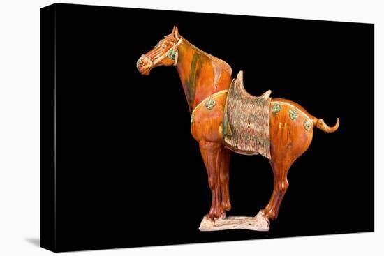 Tang Dynasty Sancai Glazed Horse-null-Stretched Canvas