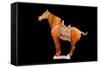 Tang Dynasty Sancai Glazed Horse-null-Framed Stretched Canvas