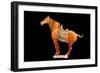 Tang Dynasty Sancai Glazed Horse-null-Framed Photographic Print