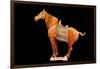 Tang Dynasty Sancai Glazed Horse-null-Framed Photographic Print