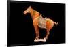 Tang Dynasty Sancai Glazed Horse-null-Framed Photographic Print