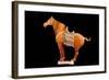 Tang Dynasty Sancai Glazed Horse-null-Framed Photographic Print