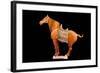 Tang Dynasty Sancai Glazed Horse-null-Framed Photographic Print