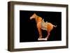 Tang Dynasty Sancai Glazed Horse-null-Framed Photographic Print