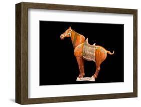 Tang Dynasty Sancai Glazed Horse-null-Framed Photographic Print