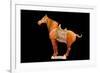 Tang Dynasty Sancai Glazed Horse-null-Framed Photographic Print