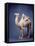 Tang Dynasty Sculpture of Camel and Rider-null-Framed Stretched Canvas