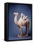 Tang Dynasty Sculpture of Camel and Rider-null-Framed Stretched Canvas