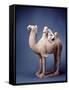 Tang Dynasty Sculpture of Camel and Rider-null-Framed Stretched Canvas