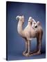 Tang Dynasty Sculpture of Camel and Rider-null-Stretched Canvas