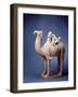 Tang Dynasty Sculpture of Camel and Rider-null-Framed Photographic Print