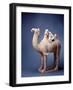 Tang Dynasty Sculpture of Camel and Rider-null-Framed Photographic Print