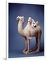 Tang Dynasty Sculpture of Camel and Rider-null-Framed Photographic Print