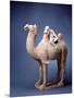 Tang Dynasty Sculpture of Camel and Rider-null-Mounted Photographic Print