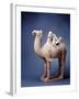 Tang Dynasty Sculpture of Camel and Rider-null-Framed Photographic Print