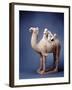 Tang Dynasty Sculpture of Camel and Rider-null-Framed Photographic Print