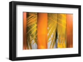 Tangerine and Cream-Andrew Michaels-Framed Photographic Print