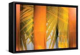 Tangerine and Cream-Andrew Michaels-Framed Stretched Canvas