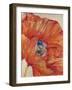 Tangerine Bloom 1-Linza Bouchet-Framed Art Print