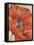 Tangerine Bloom 1-Linza Bouchet-Framed Stretched Canvas